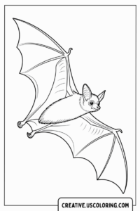 bat-flying-with-open-wings-coloring-page