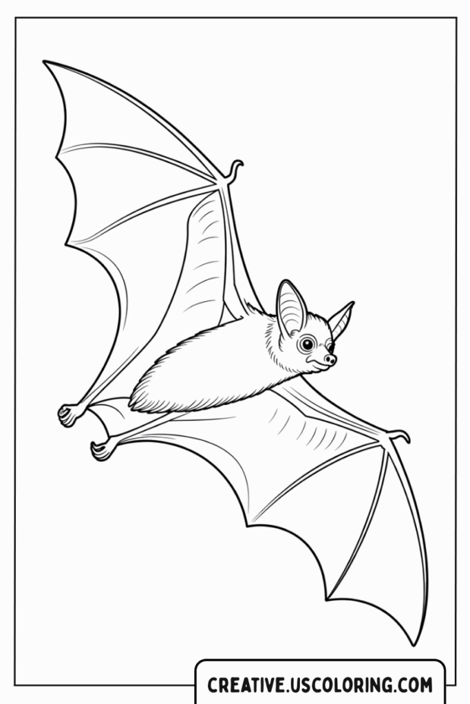 bat-flying-with-open-wings-coloring-page