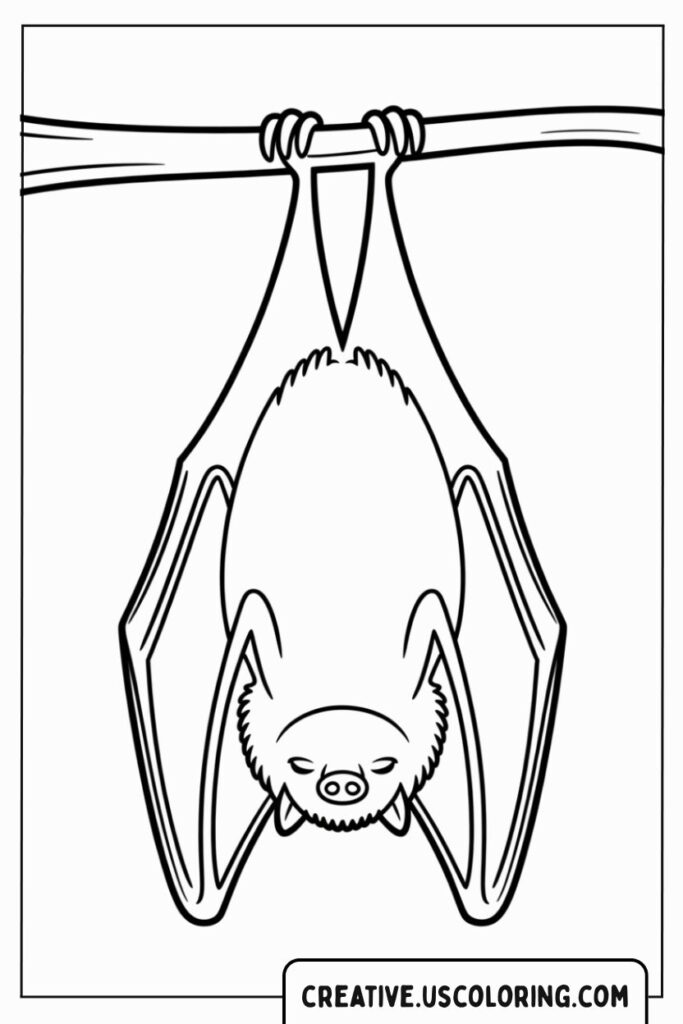 bat-hanging-upside-down-coloring-page