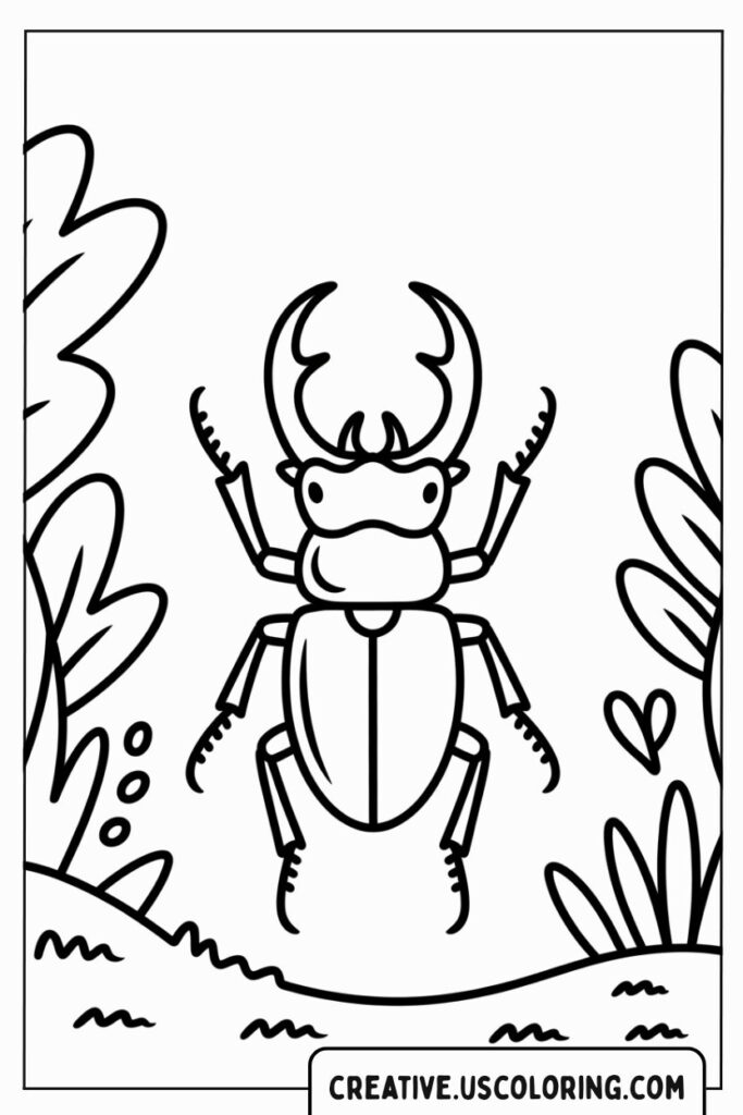 beetle-in-garden-coloring-page