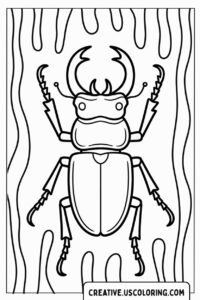 beetle-on-wood-background-coloring-page
