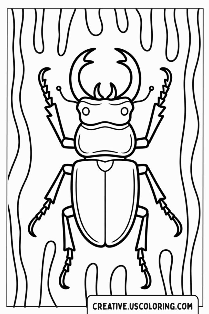 beetle-on-wood-background-coloring-page