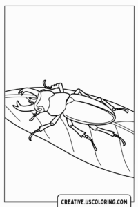 beetle-sitting-on-leaf-coloring-page