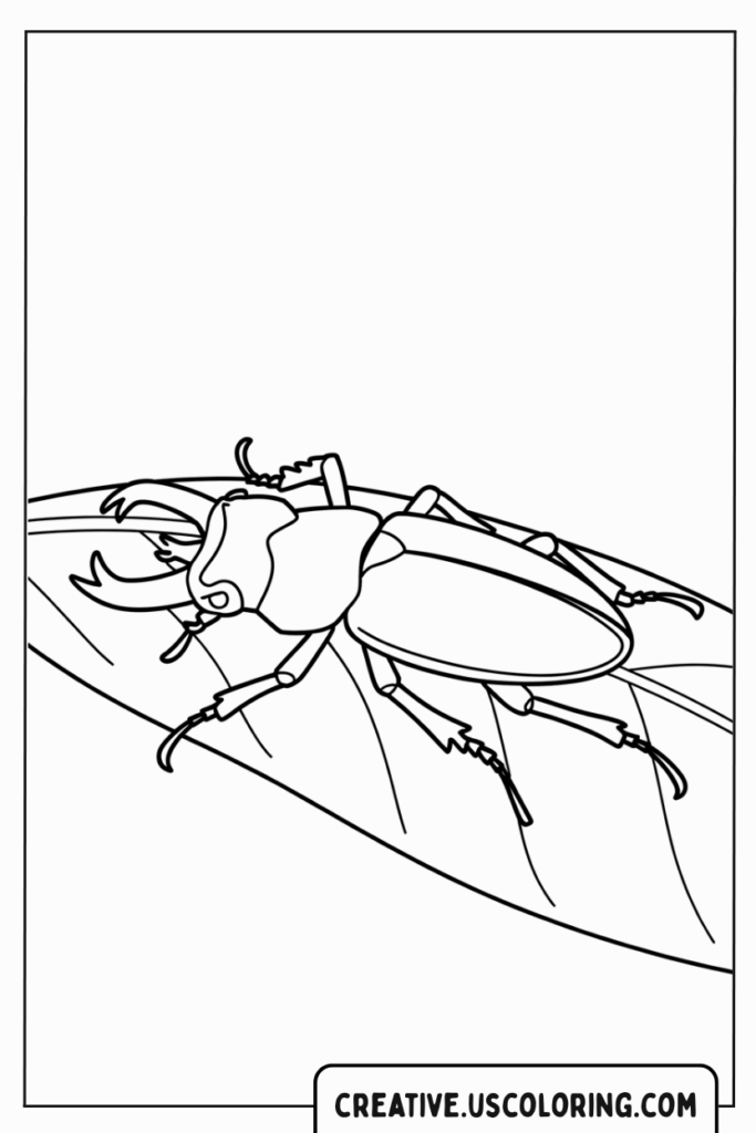 beetle-sitting-on-leaf-coloring-page