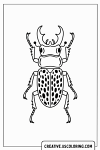 beetle-with-spots-coloring-page
