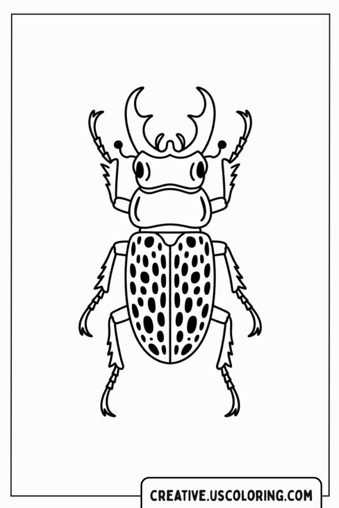 beetle-with-spots-coloring-page