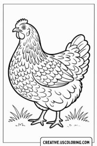 big-chicken-standing-in-grass-coloring-page