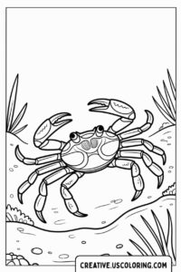 crab-walking-on-sand-coloring-page