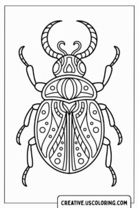 decorative-beetle-with-patterns-coloring-page
