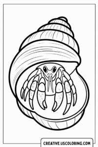 hermit-crab-in-shell-coloring-page