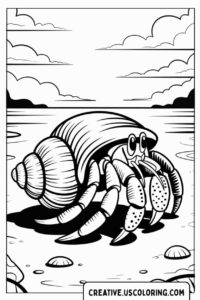 hermit-crab-on-the-beach-coloring-page