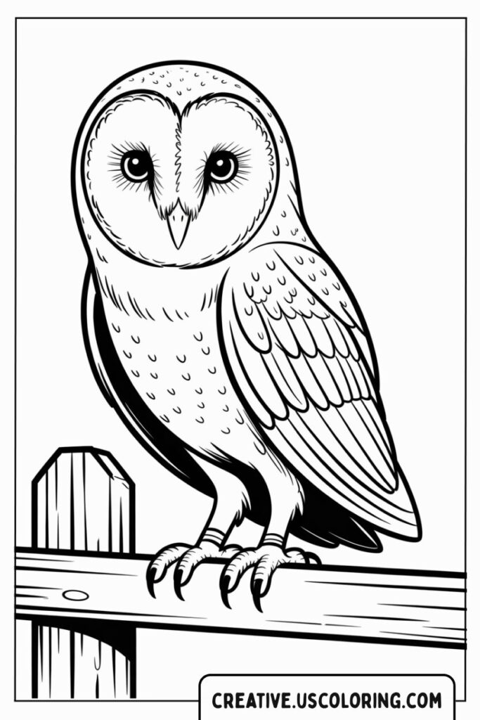 owl-perched-on-fence-coloring-page