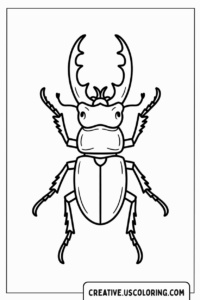 staghorn-beetle-coloring-page
