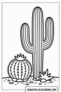 tall-cactus-and-round-cactus-in-desert-coloring-page