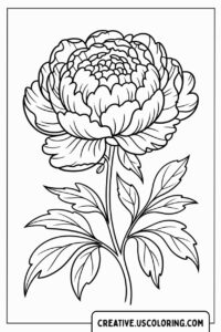 Detailed-Peony-Bloom-Realistic-Flower-Coloring-Page