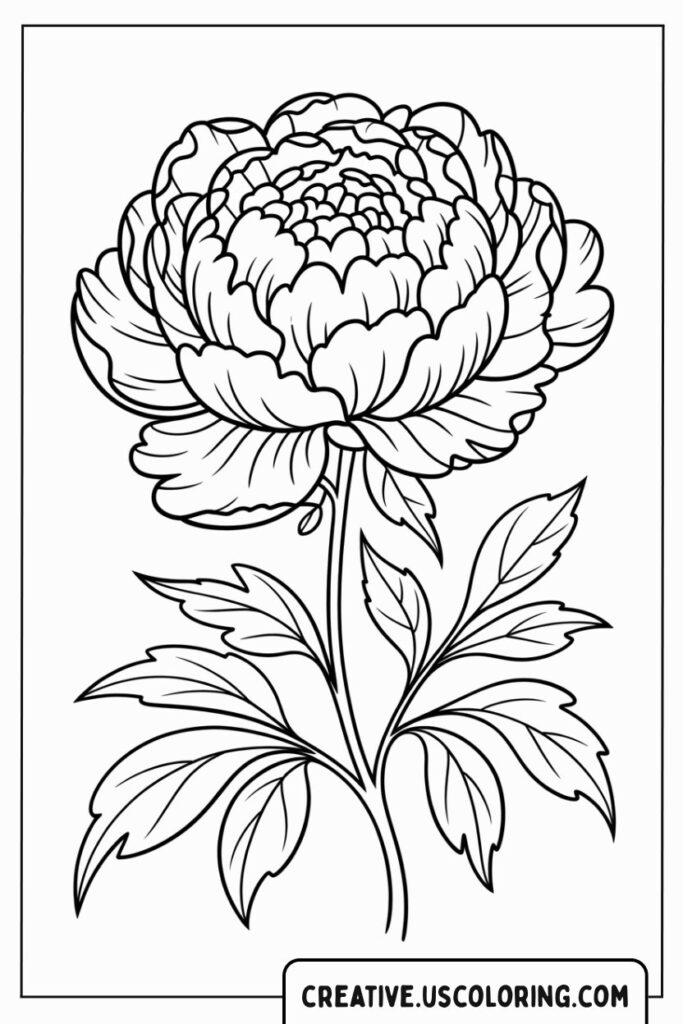 Detailed-Peony-Bloom-Realistic-Flower-Coloring-Page