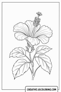 Detailed-Single-Hibiscus-Bloom-Flower-Coloring-Page