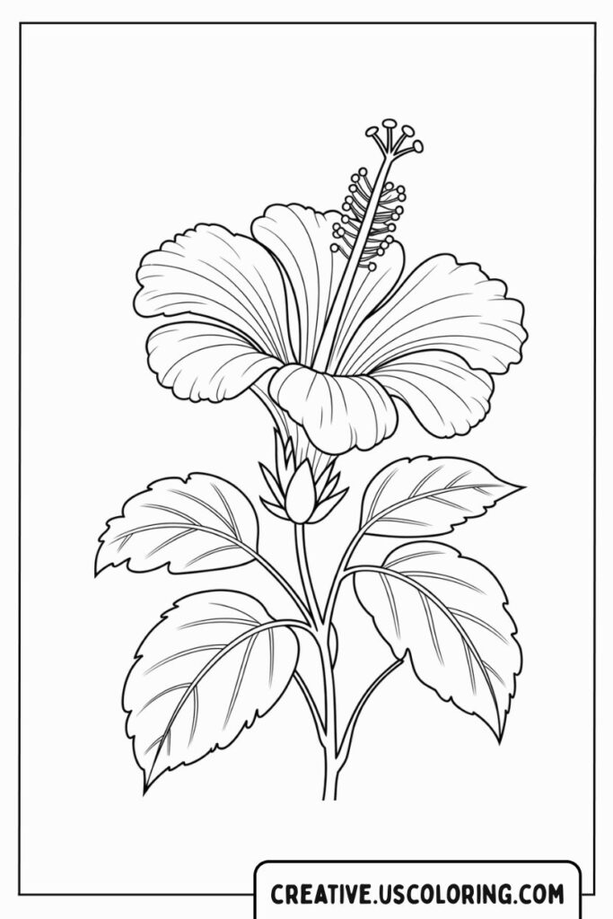 Detailed-Single-Hibiscus-Bloom-Flower-Coloring-Page