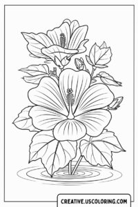 Detailed-Tropical-Hibiscus-Flower-Coloring-Page-for-Adults