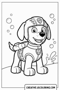 Aquatic Expert Zuma Paw Patrol